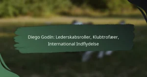 Diego Godín: Lederskabsroller, Klubtrofæer, International Indflydelse