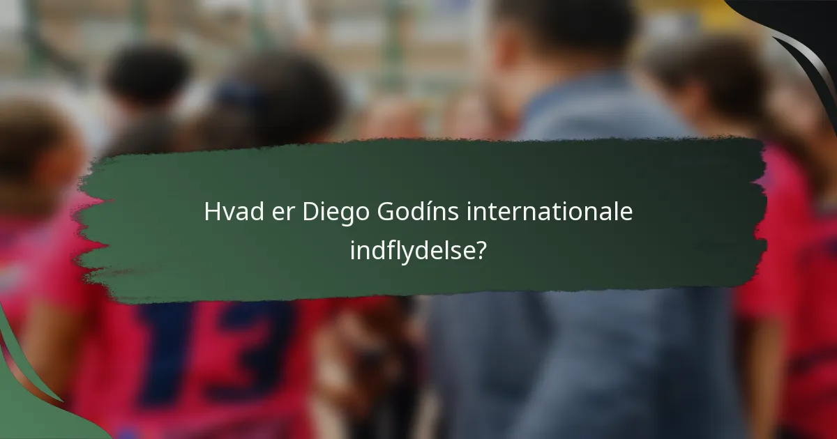 Hvad er Diego Godíns internationale indflydelse?