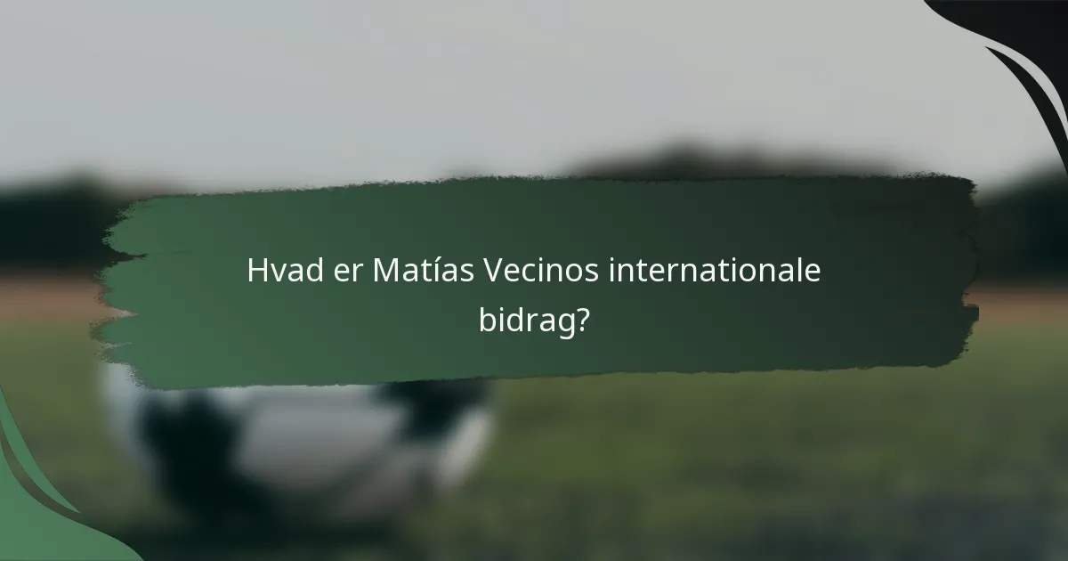Hvad er Matías Vecinos internationale bidrag?