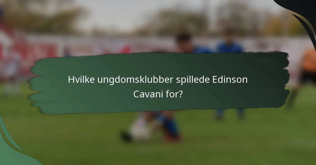 Hvilke ungdomsklubber spillede Edinson Cavani for?