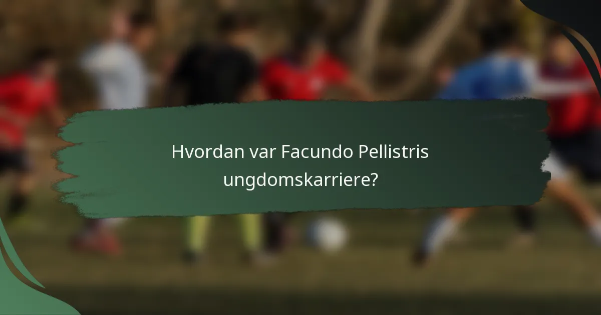 Hvordan var Facundo Pellistris ungdomskarriere?